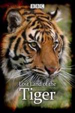 Watch Lost Land of the Tiger 9Movies