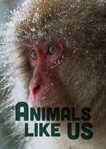 Watch Animals Like Us 9Movies
