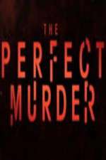 Watch The Perfect Murder 9Movies
