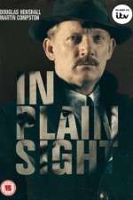 Watch In Plain Sight 9Movies
