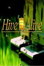 Watch Hive Alive 9Movies
