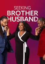 Watch Seeking Brother Husband 9Movies