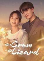 Watch Miss Crow with Mr. Lizard 9Movies