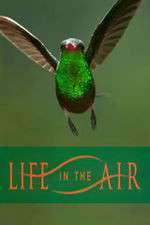 Watch Life in the Air 9Movies