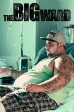 Watch The Big Ward 9Movies