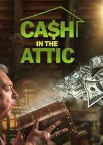 Watch Cash in the Attic 9Movies