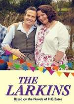 Watch The Larkins 9Movies