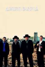 Watch Amish Mafia 9Movies
