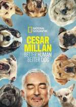 Watch Cesar Millan: Better Human Better Dog 9Movies