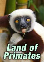 Watch Land of Primates 9Movies