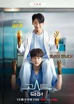 Watch Ghost Doctor 9Movies