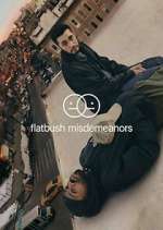 Watch Flatbush Misdemeanors 9Movies