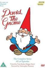 Watch David el gnomo 9Movies