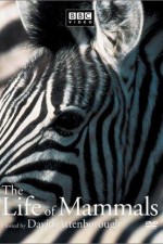 Watch The Life of Mammals 9Movies