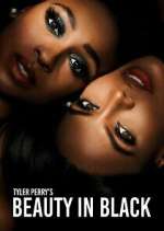 Watch Tyler Perry\'s Beauty in Black 9Movies