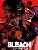 Watch Bleach: Thousand-Year Blood War 9Movies