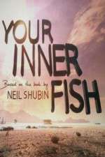 Watch Your Inner Fish 9Movies
