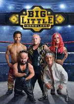 Watch Big Little Brawlers 9Movies