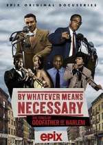 Watch By Whatever Means Necessary: The Times of Godfather of Harlem 9Movies