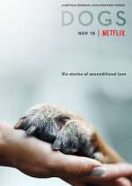 Watch Dogs 9Movies