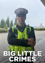 Watch Big Little Crimes 9Movies