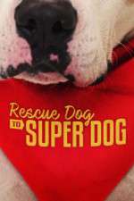 Watch Rescue Dog to Super Dog (US) 9Movies