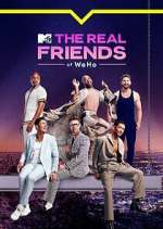 Watch The Real Friends of WeHo 9Movies