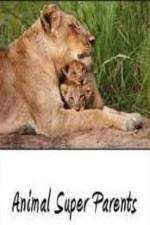 Watch Animal Super Parents 9Movies