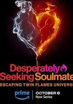 Watch Desperately Seeking Soulmate: Escaping Twin Flames Universe 9Movies