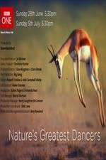 Watch Nature's Greatest Dancers 9Movies