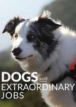 Watch Dogs with Extraordinary Jobs 9Movies