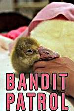 Watch Bandit Patrol 9Movies