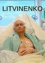 Watch Litvinenko 9Movies
