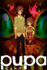 Watch Pupa 9Movies