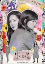 Watch Spring Turns to Spring 9Movies