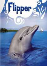 Watch Flipper 9Movies
