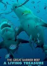 Watch Great Barrier Reef: A Living Treasure 9Movies