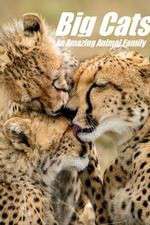 Watch Big Cats: An Amazing Animal Family 9Movies