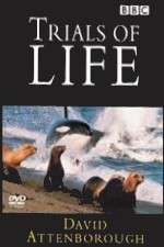 Watch The Trials of Life 9Movies