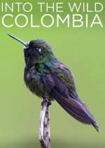 Watch Into the Wild Colombia 9Movies