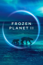 Watch Frozen Planet II 9Movies