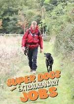 Watch Super Dogs with Extraordinary Jobs 9Movies
