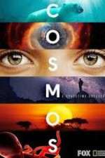 Watch Cosmos A SpaceTime Odyssey 9Movies