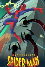 Watch The Spectacular Spider-Man 9Movies