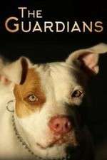 Watch The Guardians 9Movies
