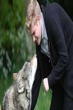 Watch Wolfblood Uncovered 9Movies