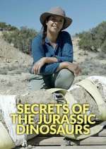 Watch Secrets of the Jurassic Dinosaurs 9Movies