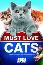 Watch Must Love Cats 9Movies