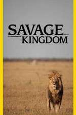 Watch Savage Kingdom 9Movies