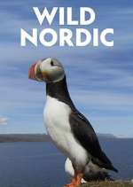 Watch Wild Nordic 9Movies